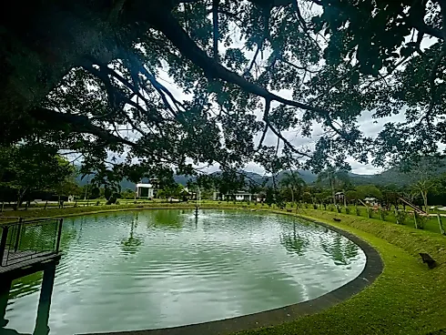 Terreno no Quinta dos Guimarães - Sul do Rio - Foto 9