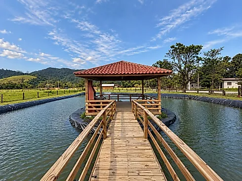 Sítio 9300m²  - Área Rural de Biguaçu - Foto 3