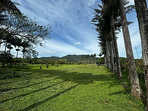 Sítio 9300m²  - Área Rural de Biguaçu - Foto 5