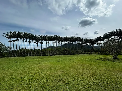 Sítio 9300m²  - Área Rural de Biguaçu - Foto 7