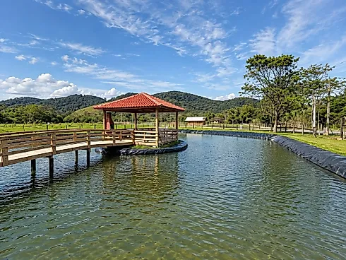 Sítio 9300m²  - Área Rural de Biguaçu - Foto 1
