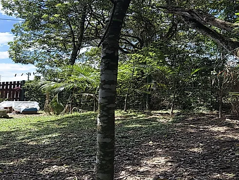 Casa 3 Quartos com 2 Suítes  - 100% Mobiliada - Foto 36