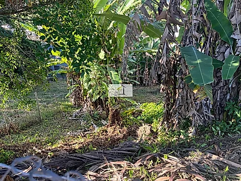 Terreno em Centro, Santo Amaro Da Imperatriz