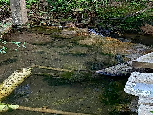 Lotes Exclusivos de 3.000 m² em Condomínio Rural – Vista Panorâmica - Foto 11