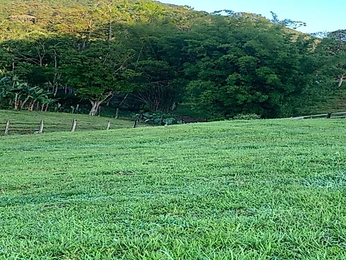 Lotes Exclusivos de 3.000 m² em Condomínio Rural – Vista Panorâmica - Foto 13