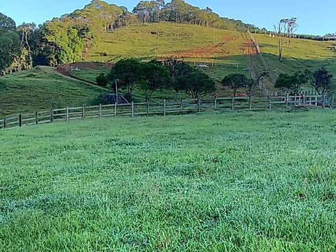 Lotes Exclusivos de 3.000 m² em Condomínio Rural – Vista Panorâmica - Foto 15