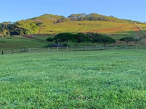 Lotes Exclusivos de 3.000 m² em Condomínio Rural – Vista Panorâmica - Foto 17