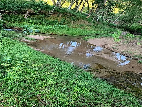 Lotes Exclusivos de 3.000 m² em Condomínio Rural – Vista Panorâmica - Foto 19