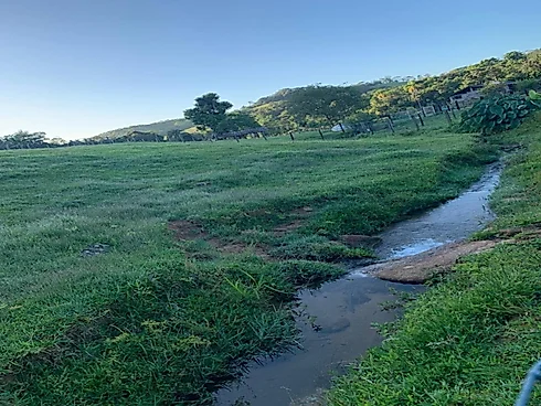 Lotes Exclusivos de 3.000 m² em Condomínio Rural – Vista Panorâmica - Foto 22