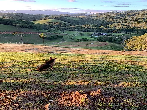 Lotes Exclusivos de 3.000 m² em Condomínio Rural – Vista Panorâmica - Foto 24