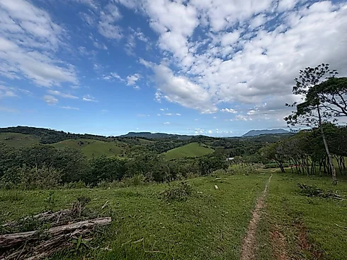 Terreno em Pagará Grande, São Pedro De Alcântara