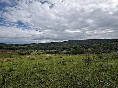Terreno em Pagará Grande, São Pedro De Alcântara