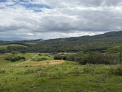 Lotes Exclusivos de 3.000 m² em Condomínio Rural – Vista Panorâmica - Foto 7