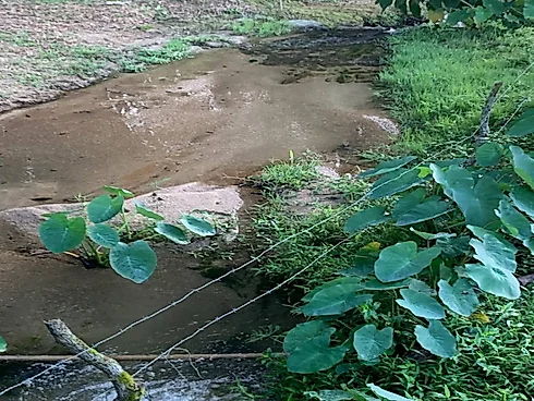 Lotes Exclusivos de 3.000 m² em Condomínio Rural – Vista Panorâmica - Foto 8