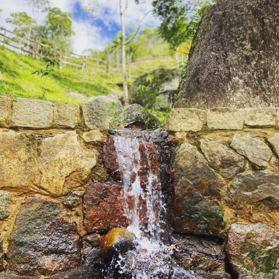 Sítio em Vargem Grande, Águas Mornas. 3 quartos, 80m². Imagem 17 de 35