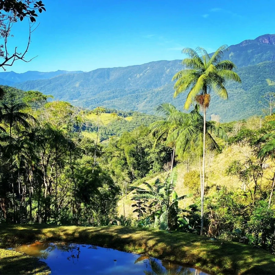 Sítio em Vargem Grande, Águas Mornas. 3 quartos, 80m². Imagem 16 de 35