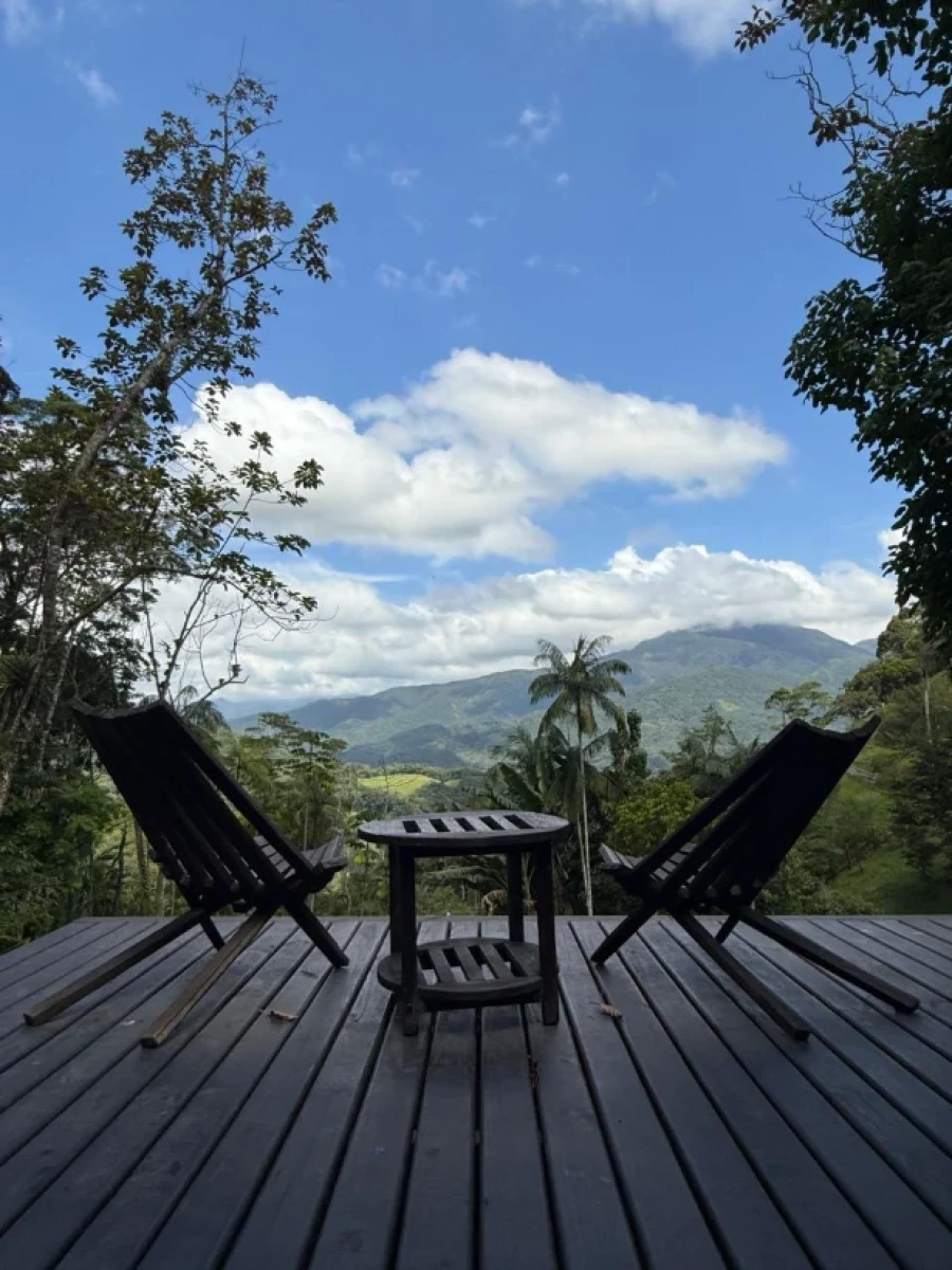 Sítio em Vargem Grande, Águas Mornas. 3 quartos, 80m². Imagem 34 de 35