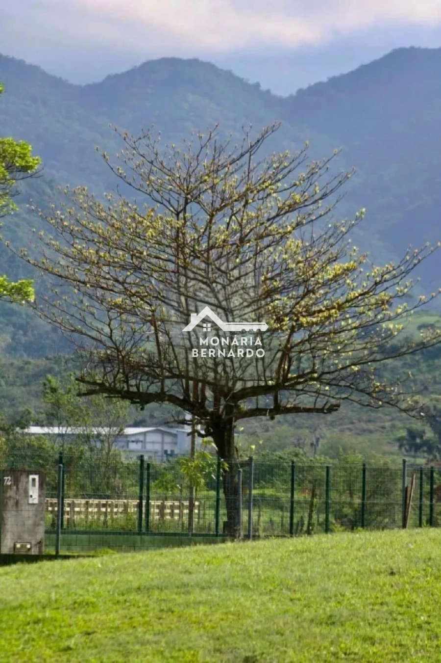 Terreno em Sul do Rio, Santo Amaro da Imperatriz. 0 quartos, 0m². Imagem 8 de 8