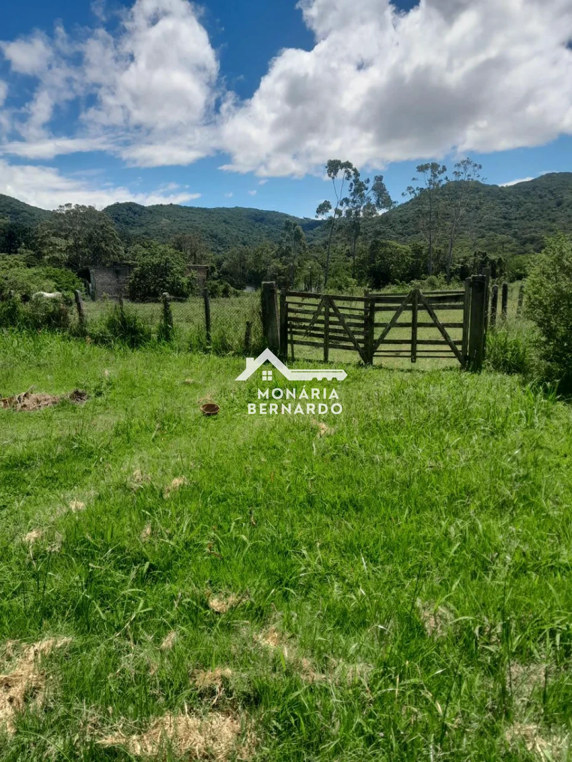 Sítio em Ratones, Florianópolis. 0 quartos, 0m². Imagem 8 de 9