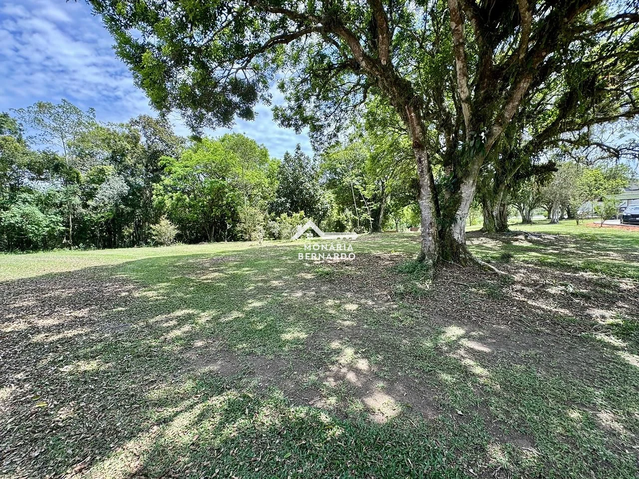 Terreno em Sul do Rio, Santo Amaro da Imperatriz. 0 quartos, 0m². Imagem 7 de 10