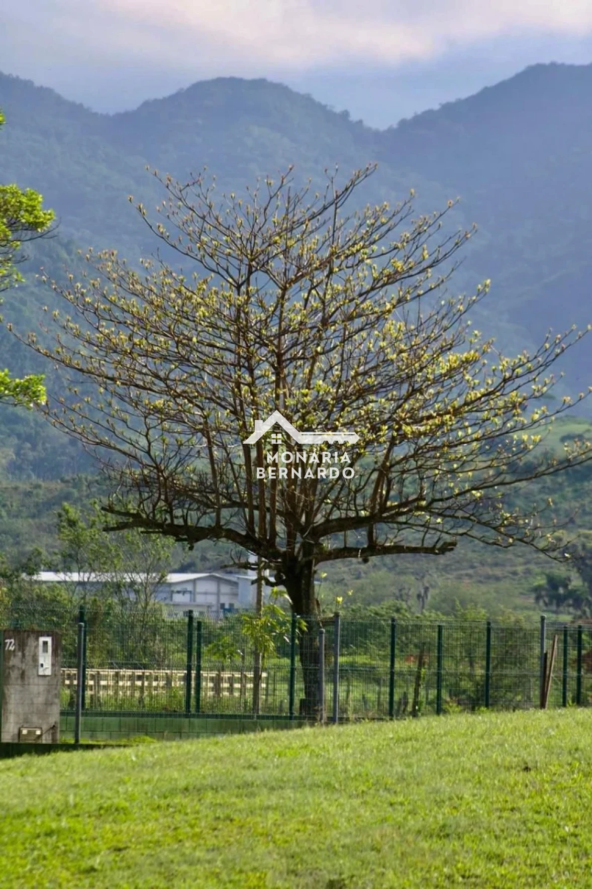 Terreno em Sul do Rio, Santo Amaro da Imperatriz. 0 quartos, 0m². Imagem 6 de 10