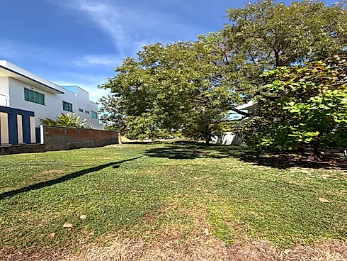 Terreno, Palmas