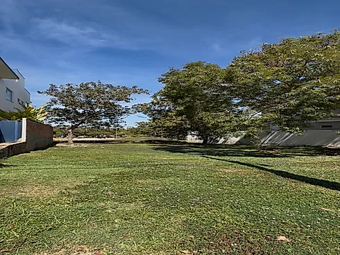Terreno, Palmas