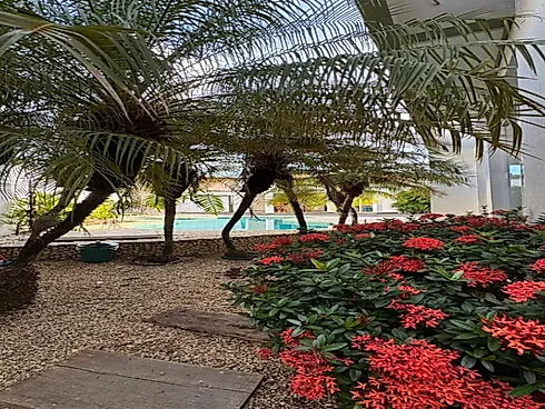 Casa em Plano Diretor Sul, Palmas