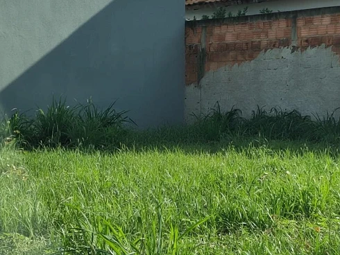 Terreno