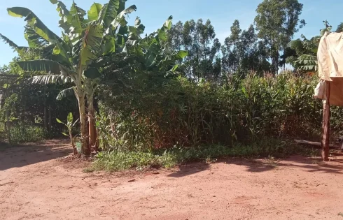 Chácara em Morada Nova, Uberlândia
