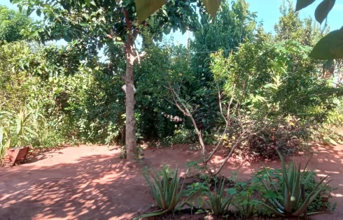 Chácara em Morada Nova, Uberlândia