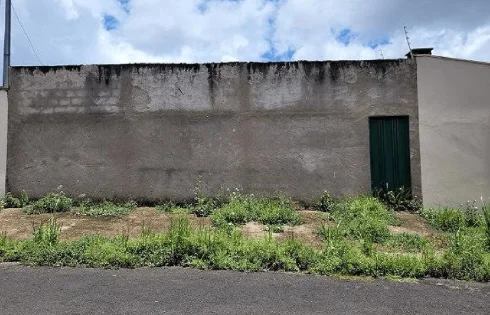 Vigilato Pereira, Uberlândia
