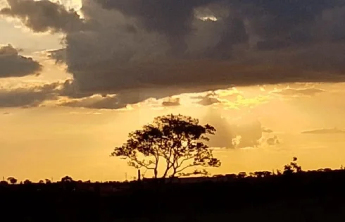 Chácara em Zona Rural, Uberlândia