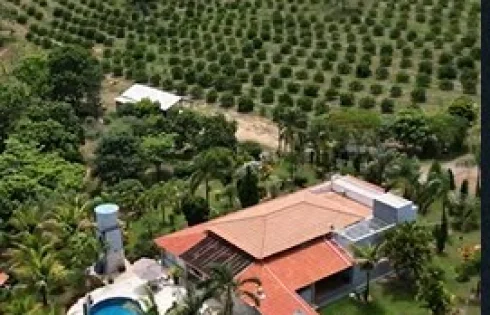São João, Catalão