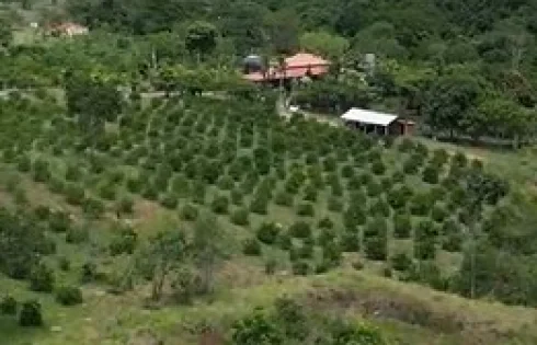 Chácara em São João, Catalão