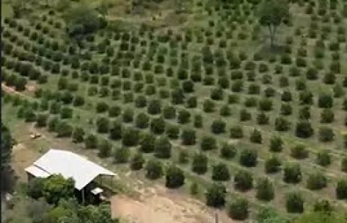 Chácara em São João, Catalão