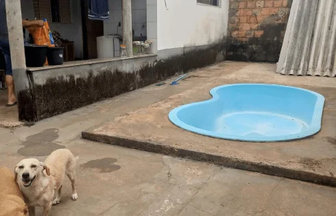 Casa em Segismundo Pereira, Uberlândia