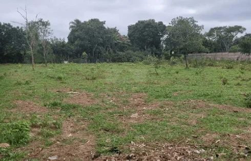 Morada Nova, Uberlândia