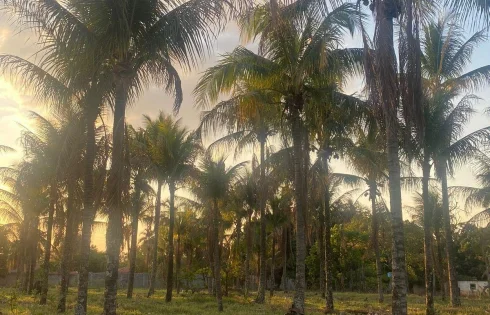 Chácara em Chácaras Jockey Camping (zona Oeste), Uberlândia