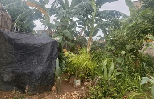 Pacaembu, Uberlândia