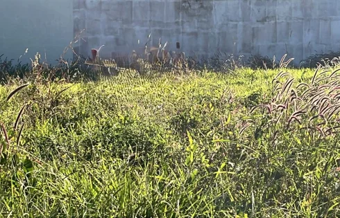 Terreno em Novo Mundo, Uberlândia
