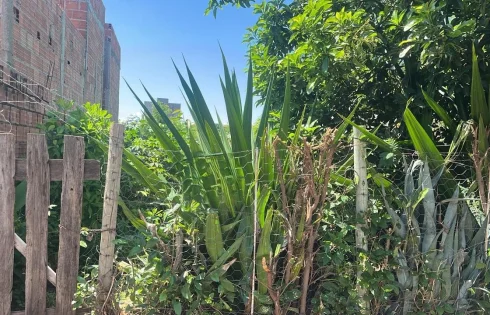 Jardim Patricia, Uberlândia