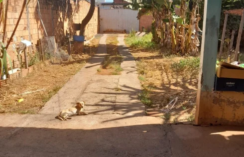 Terreno em Jardim Canaã, Uberlândia
