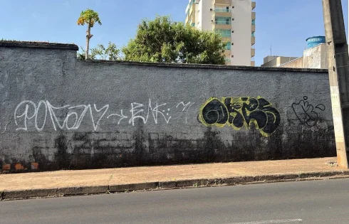 Centro, Uberlândia