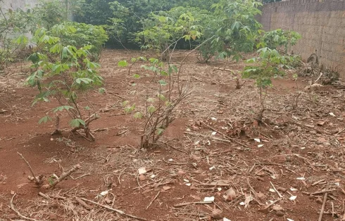 Jardim Holanda, Uberlândia
