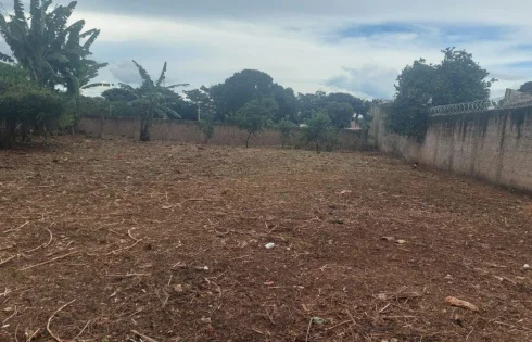 Jardim Europa, Uberlândia
