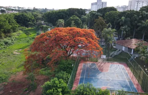 Apartamento em Jardim Patricia, Uberlândia