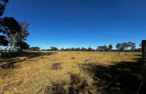 Terreno em Tocantins, Uberlândia