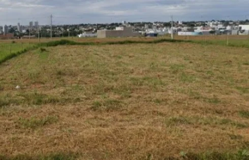 Terreno em Alto Umuarama, Uberlândia