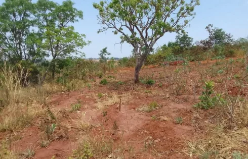 Terreno em Miraporanga, Uberlândia